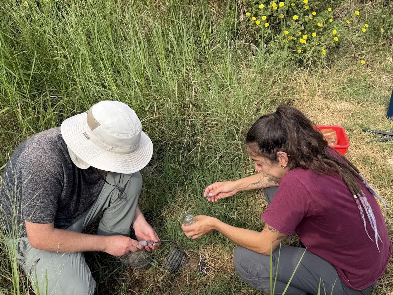 Two researchers collecting samples in the field
