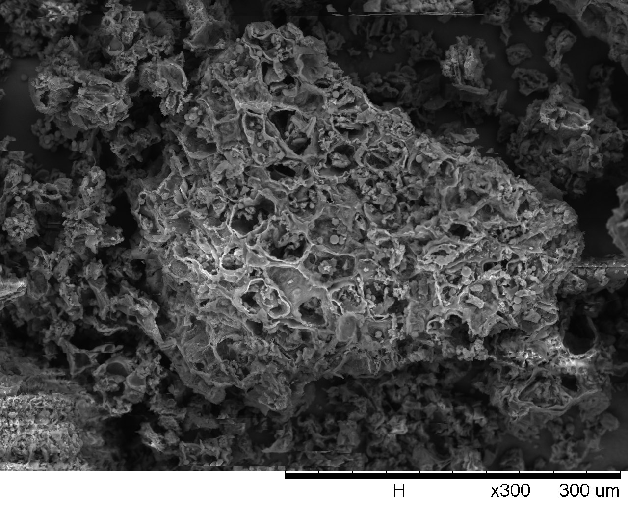 Scanning electron micrograph (SEM) of hydrochar from spent coffee grounds, 275 °C, ×300